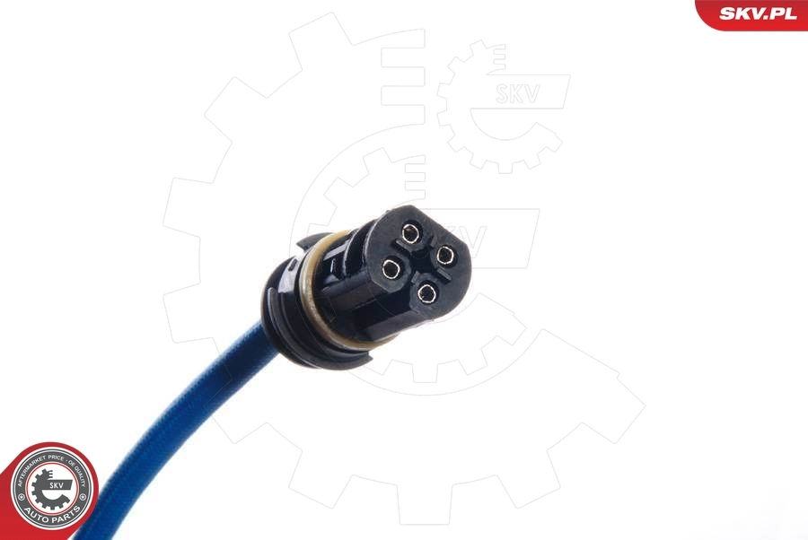 Oxygen Sensor